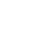 Rugs Plus