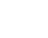 AutoGuru